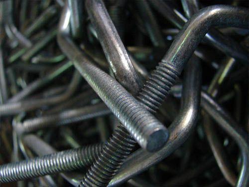 grampsU1-500x375.jpeg